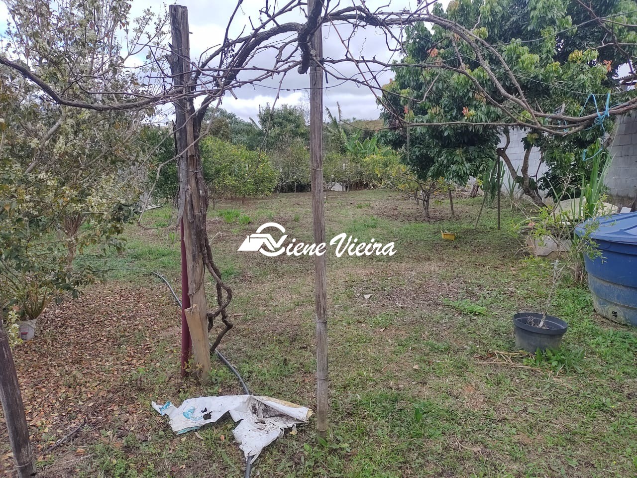 Chácara, 1 quarto, 1000 m² - Foto 2