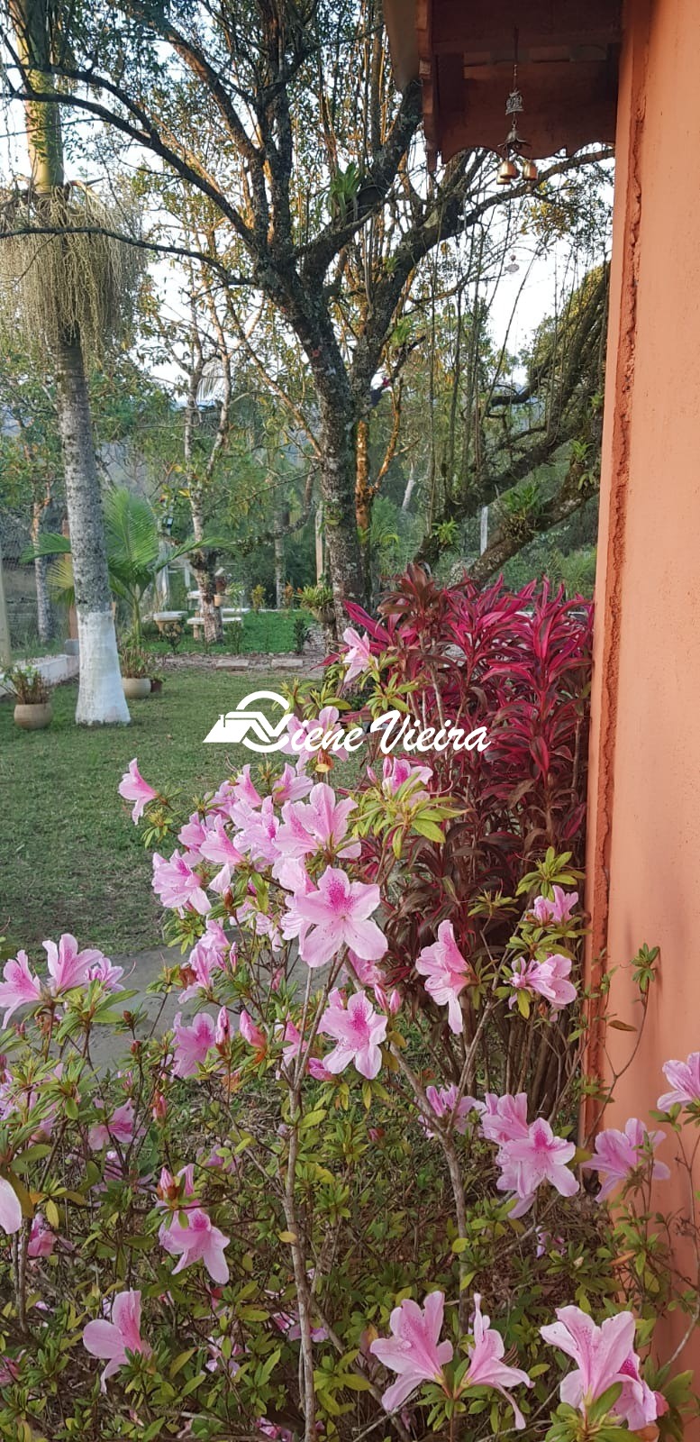Chácara, 2 quartos, 4900 m² - Foto 31