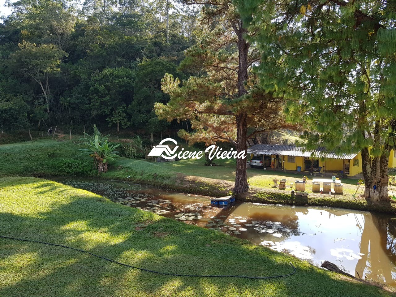 Chácara, 4 quartos, 13 hectares - Foto 11