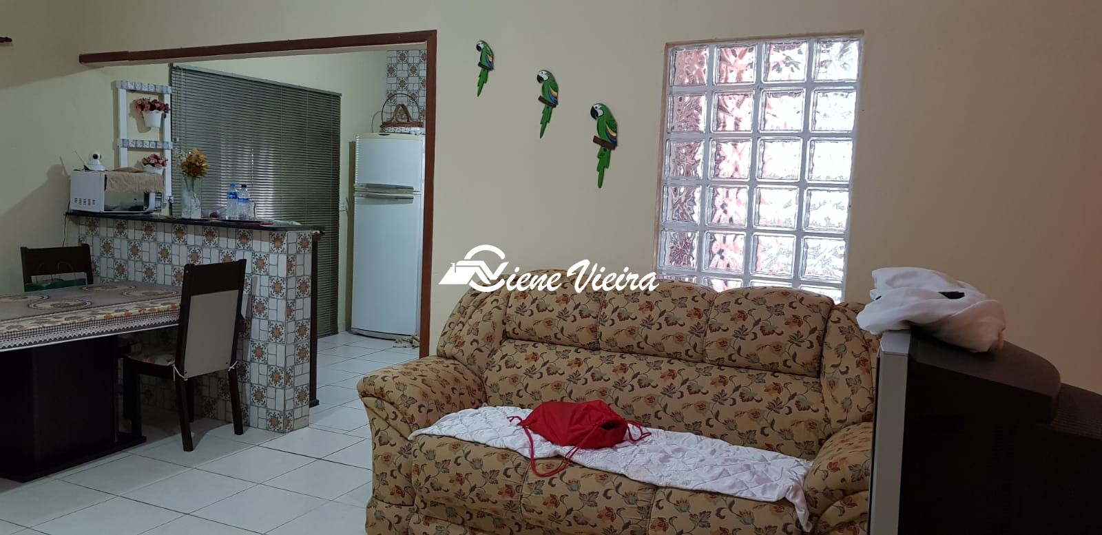 Chácara, 2 quartos, 4900 m² - Foto 17