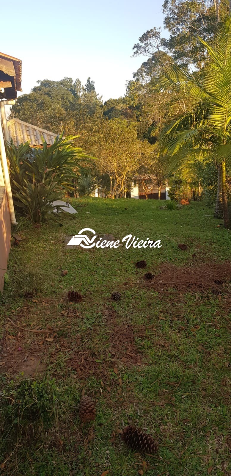 Chácara, 2 quartos, 4900 m² - Foto 9