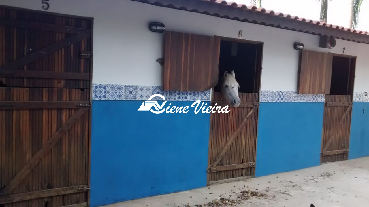 Chácara, 4 quartos, 3225 m² - Foto 38