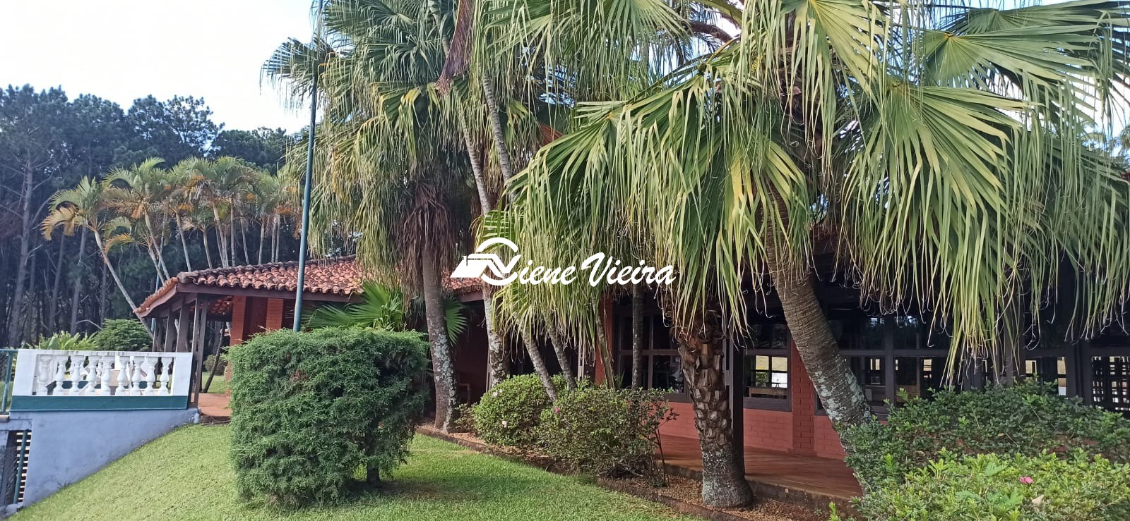 Chácara, 4 quartos, 3285 m² - Foto 41