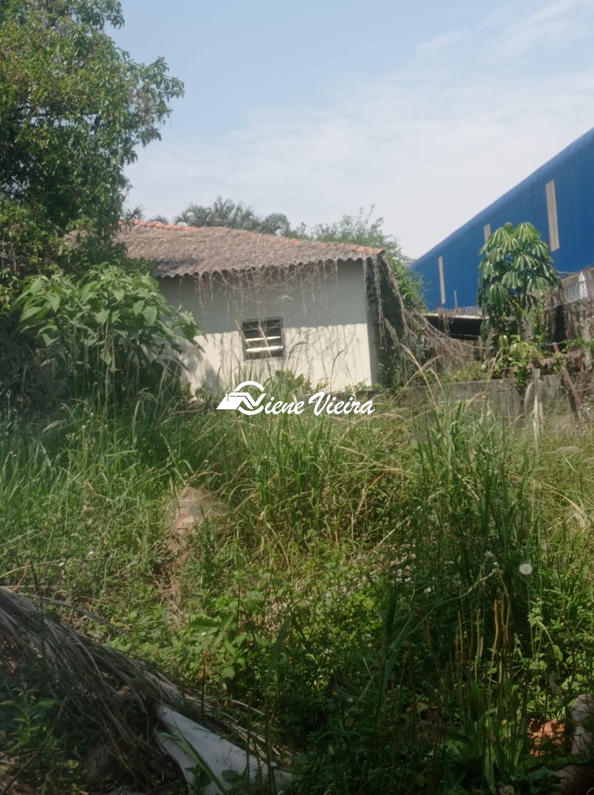 Depósito-Galpão, 16000 m² - Foto 53