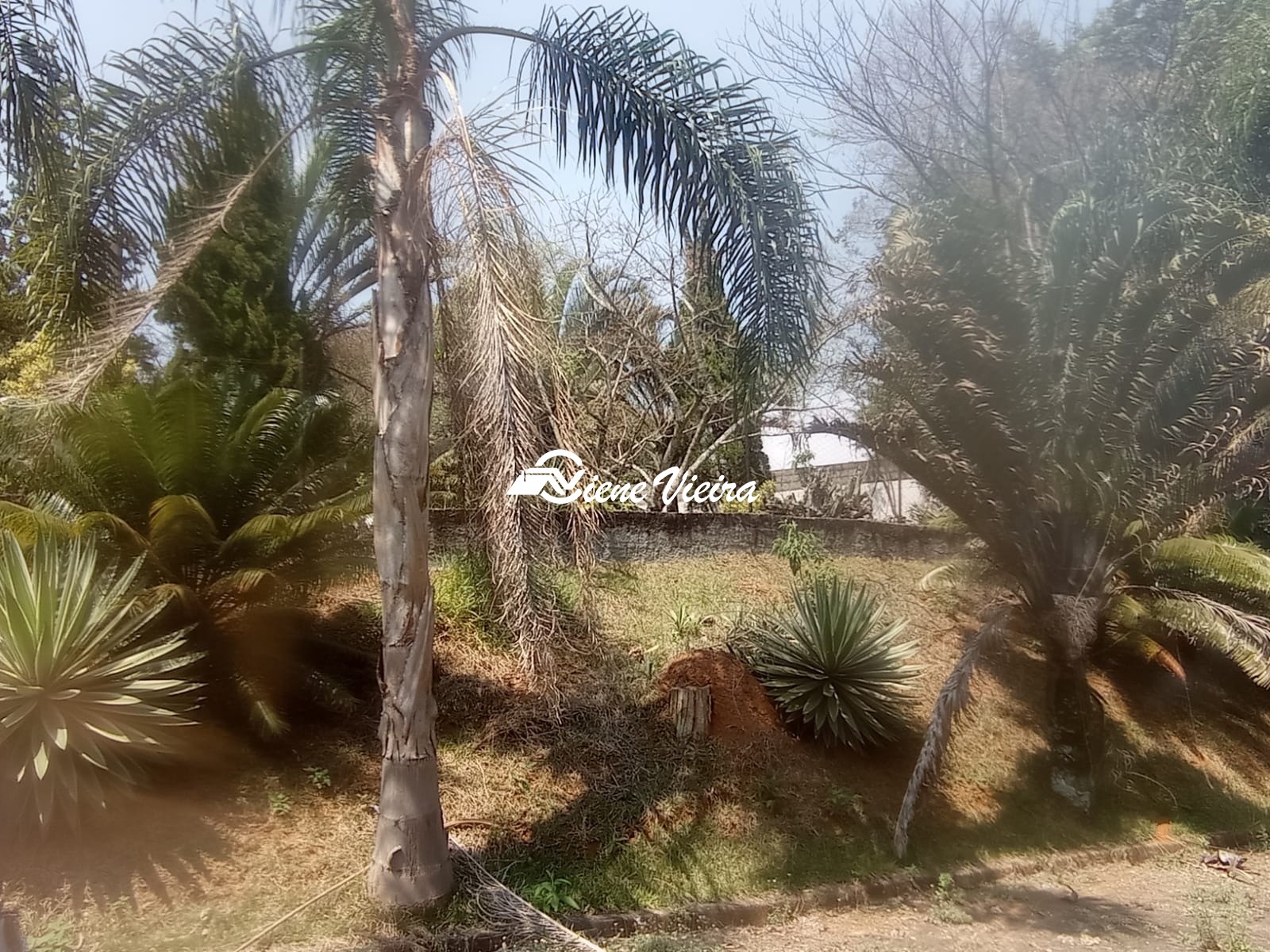 Depósito-Galpão, 16000 m² - Foto 41