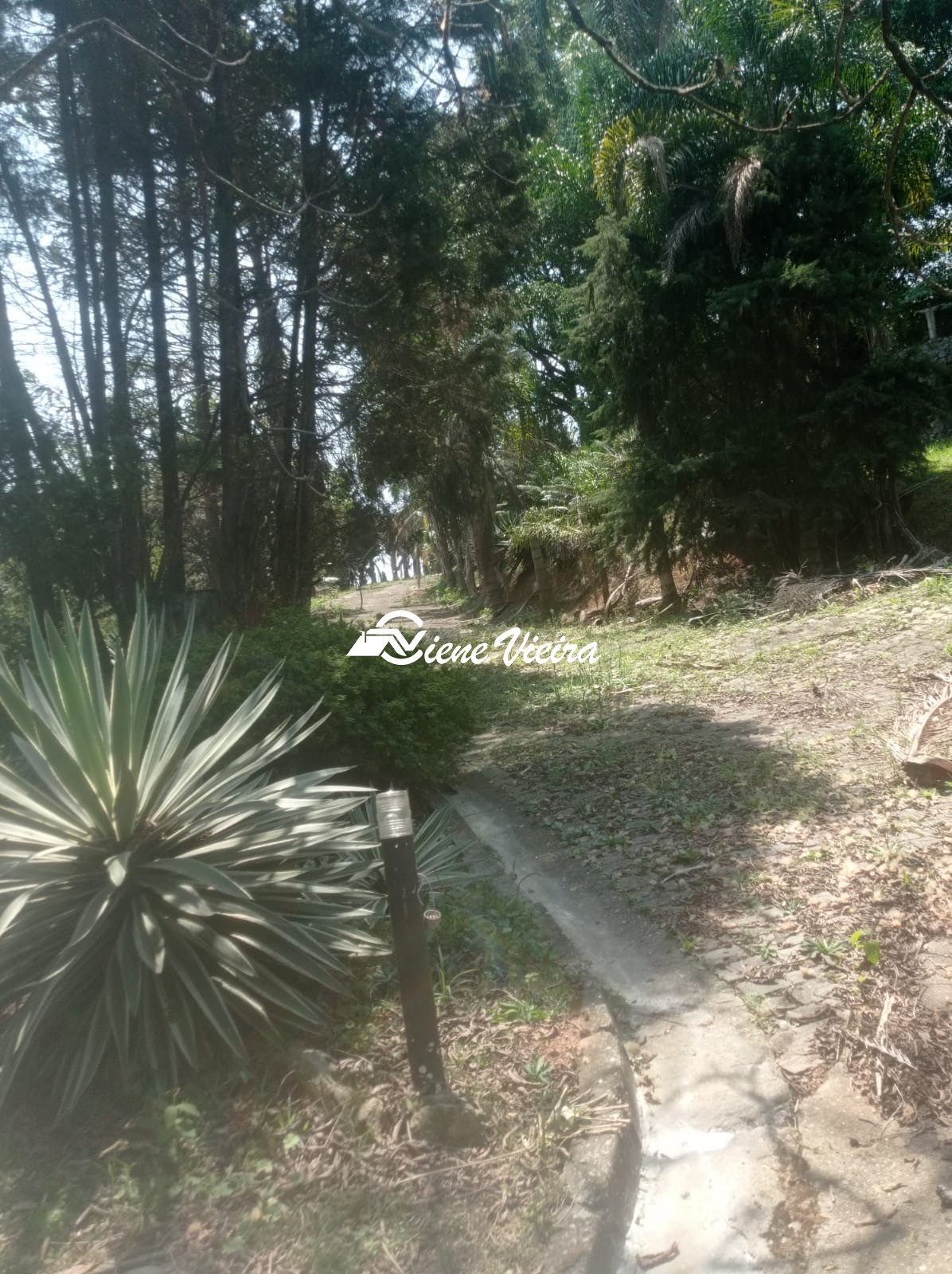 Depósito-Galpão, 16000 m² - Foto 48