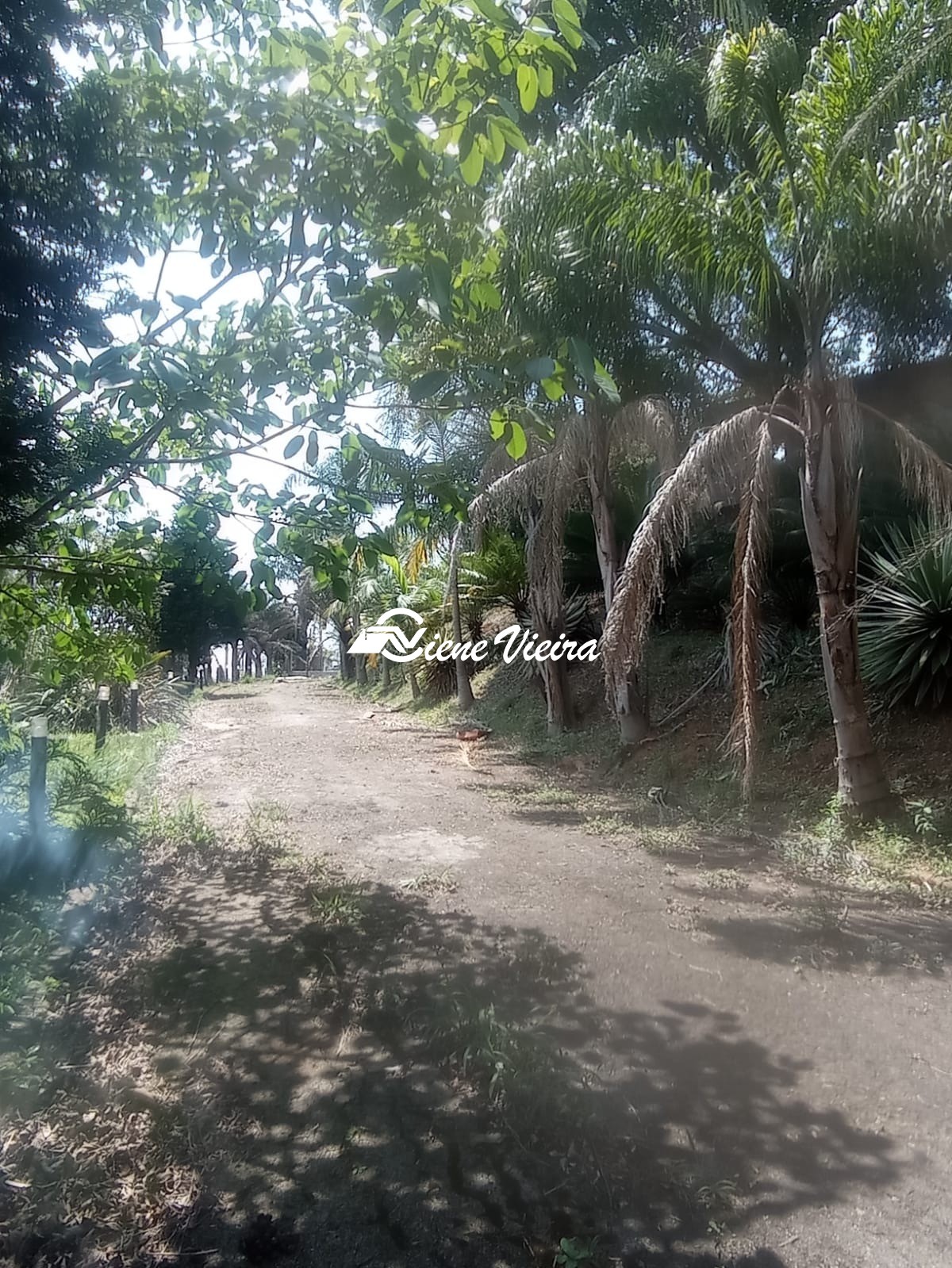 Depósito-Galpão, 16000 m² - Foto 43