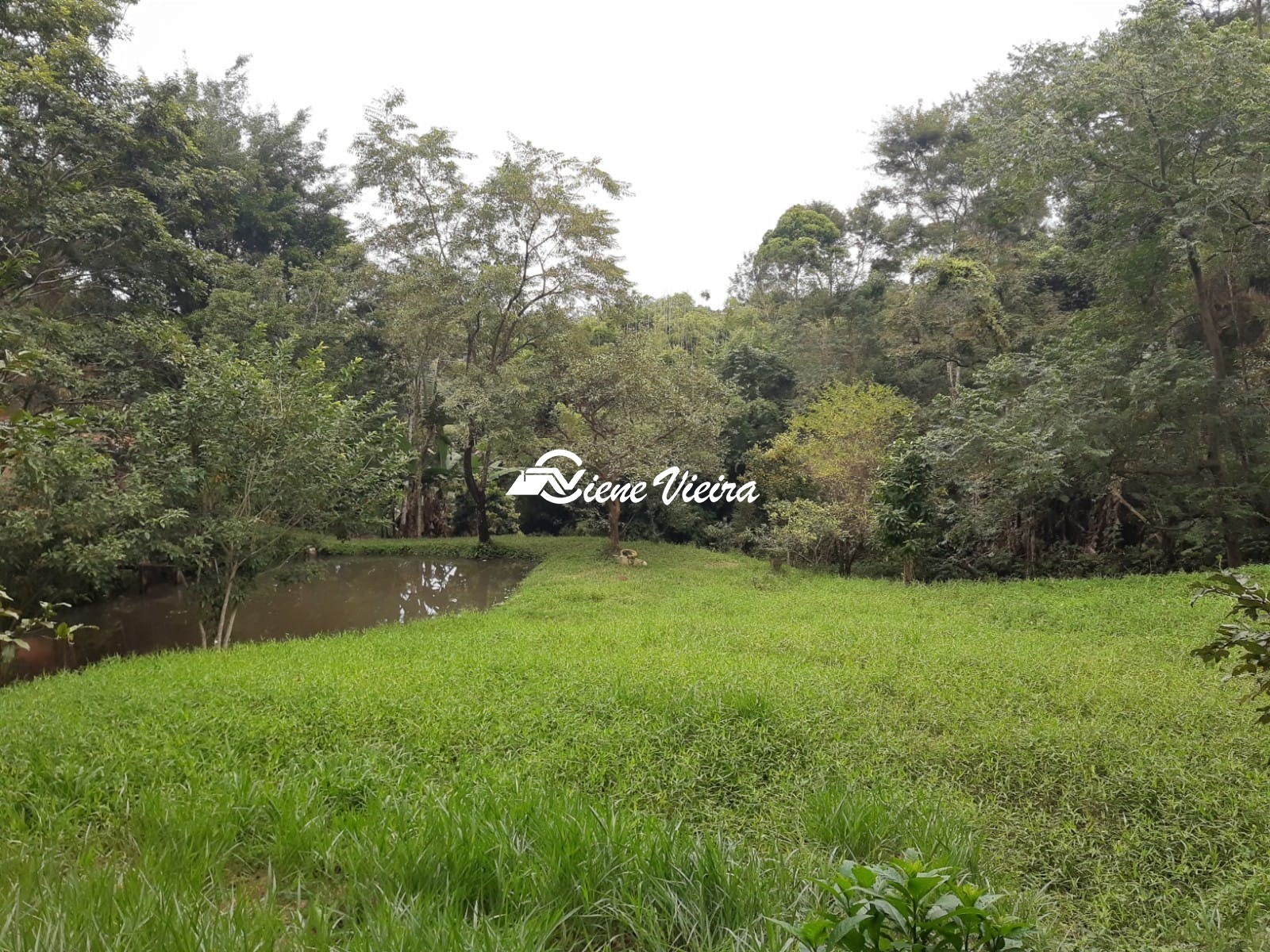 Chácara, 2 quartos, 10000 m² - Foto 17