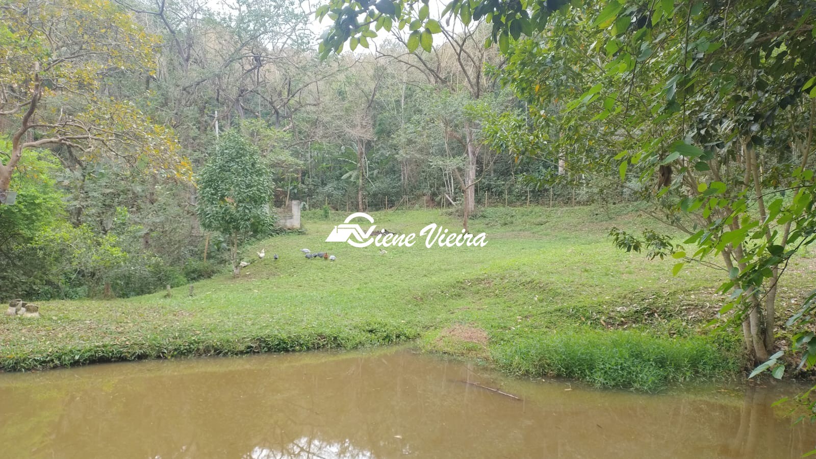 Loja-Salão, 375 m² - Foto 36