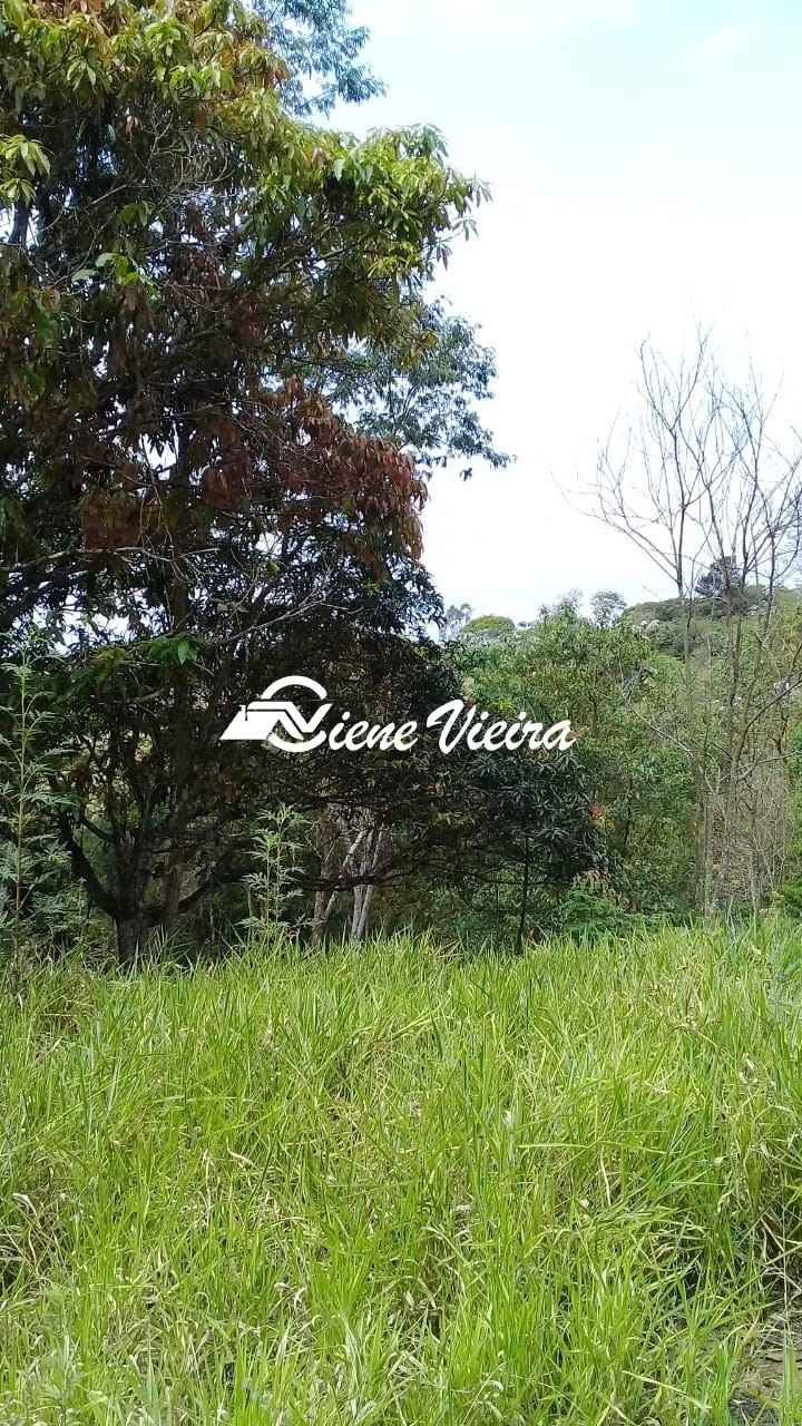 Terreno, 2522 m² - Foto 4