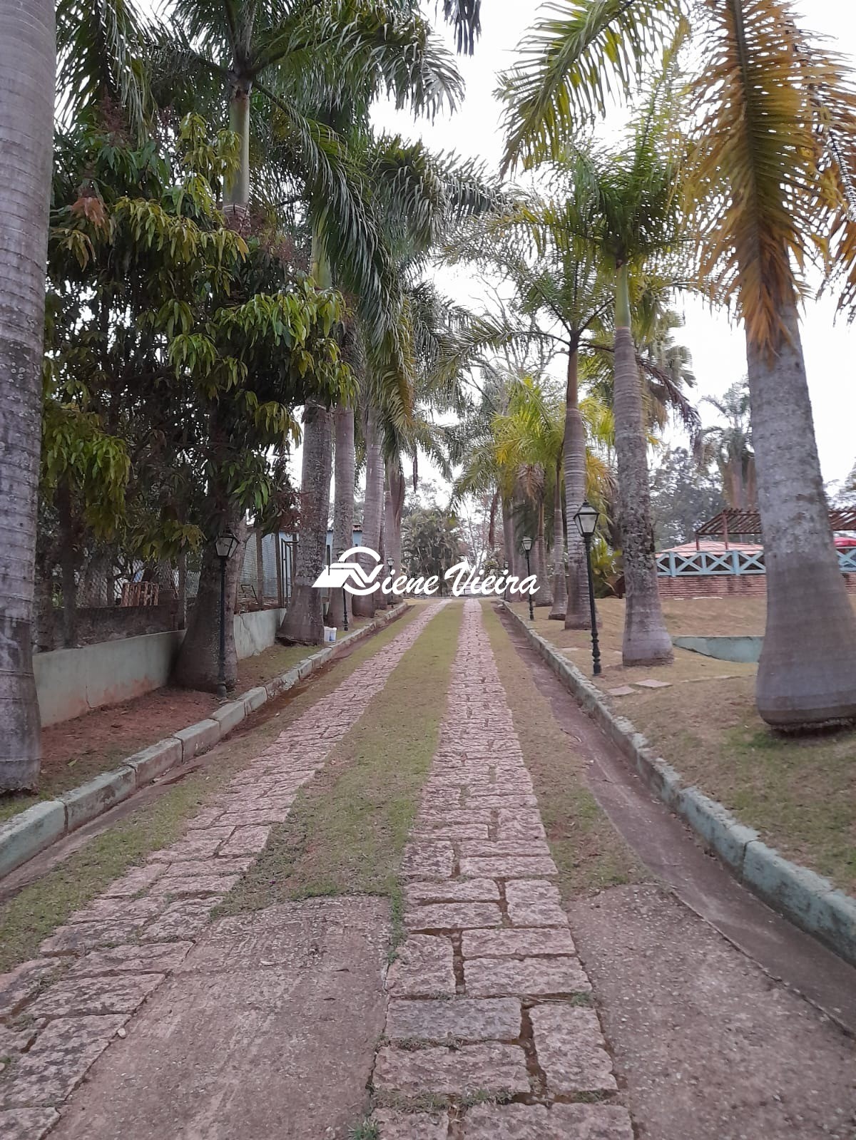 Chácara, 8 quartos, 5000 m² - Foto 28