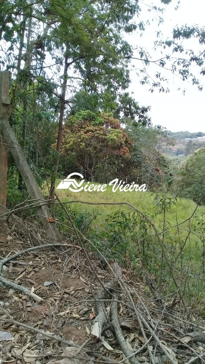 Terreno, 2522 m² - Foto 2