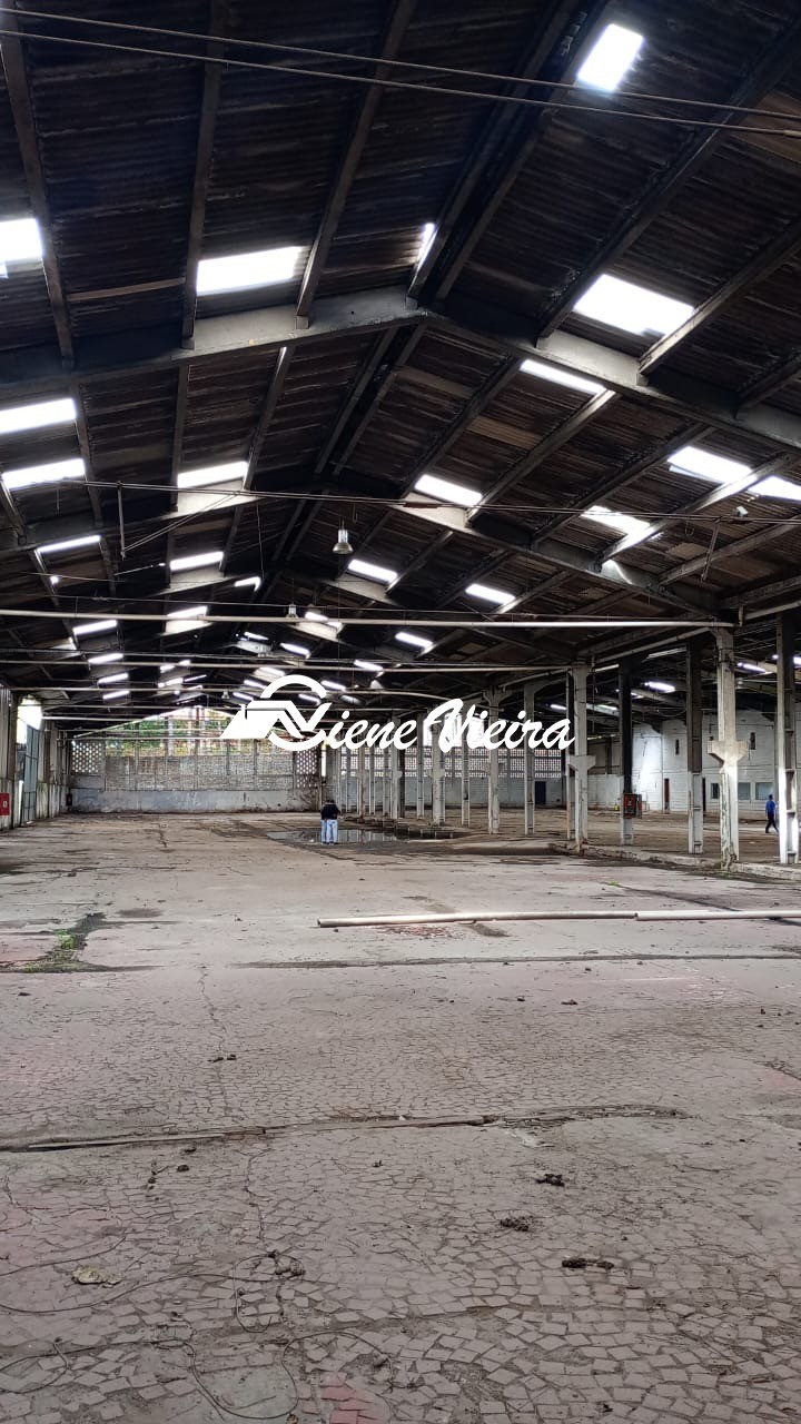 Depósito-Galpão, 5000 m² - Foto 1