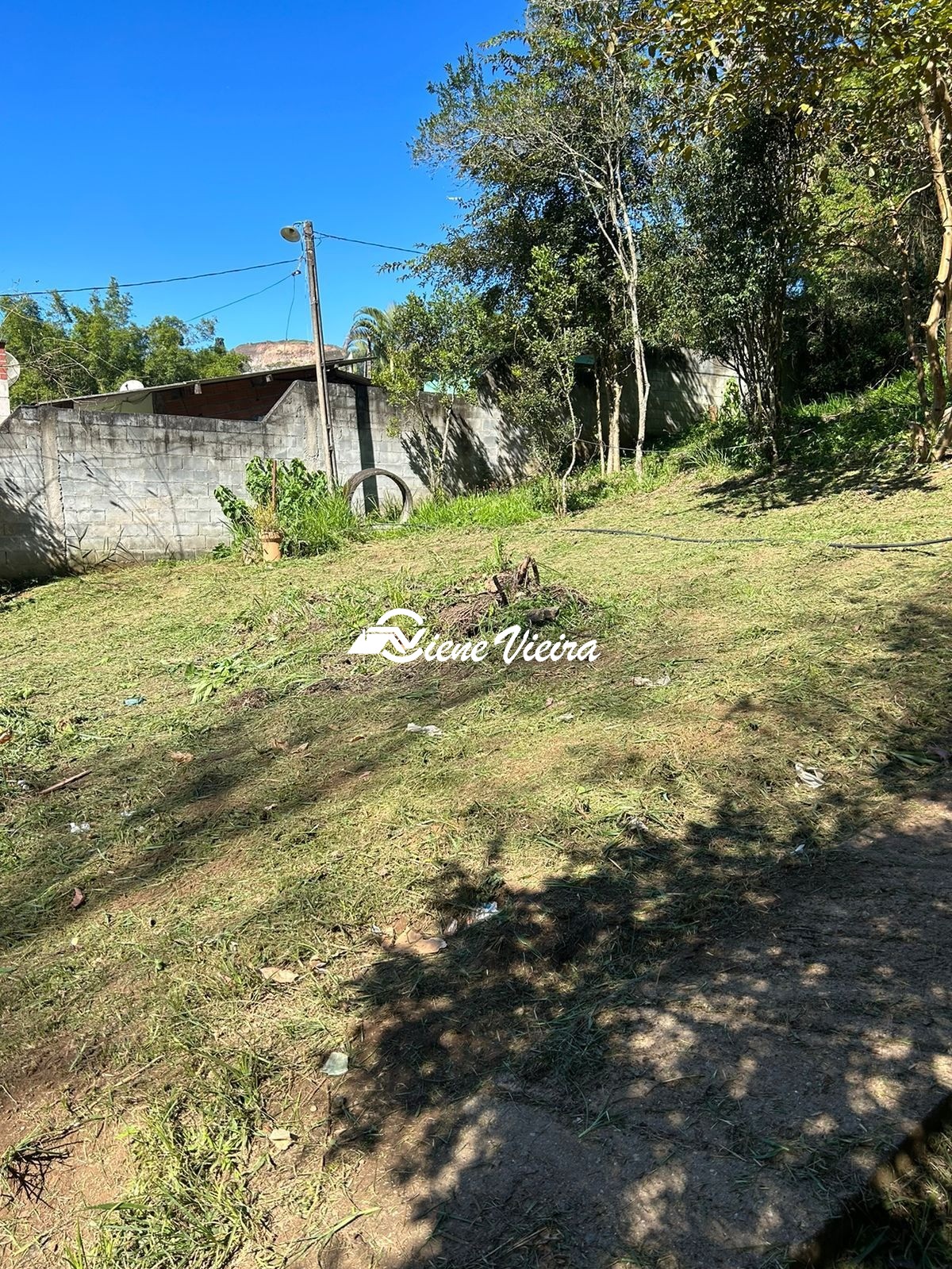 Chácara, 2 quartos, 1558 m² - Foto 17