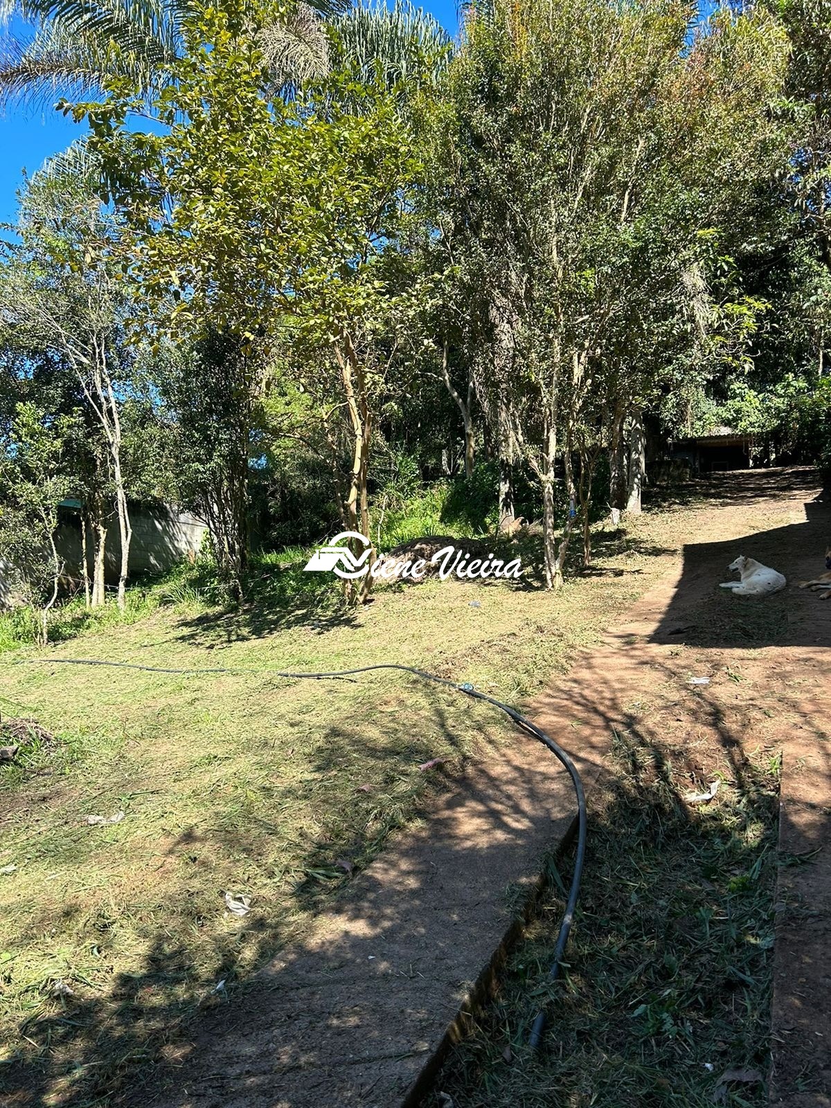 Chácara, 2 quartos, 1558 m² - Foto 14