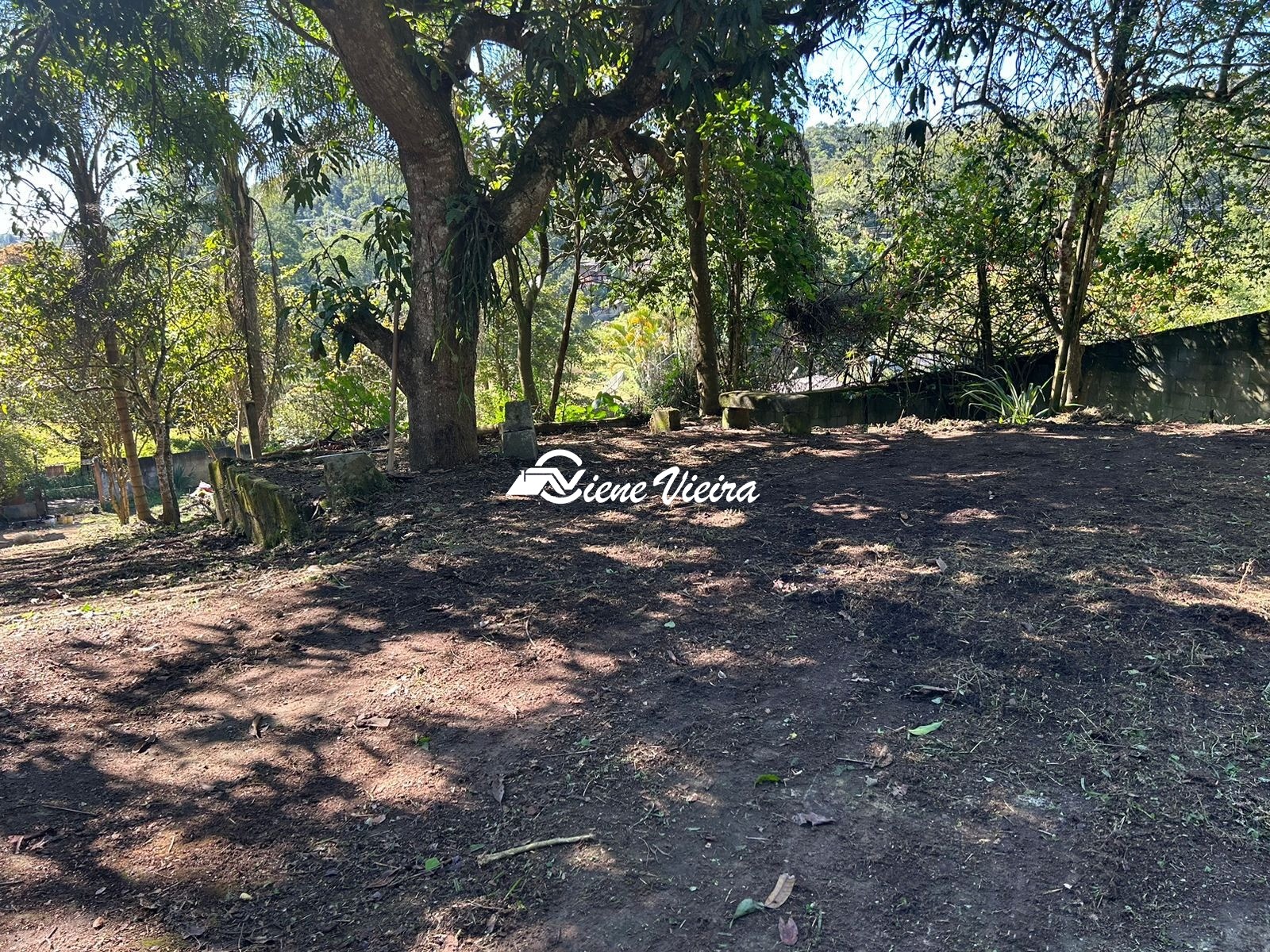 Chácara, 2 quartos, 1558 m² - Foto 19