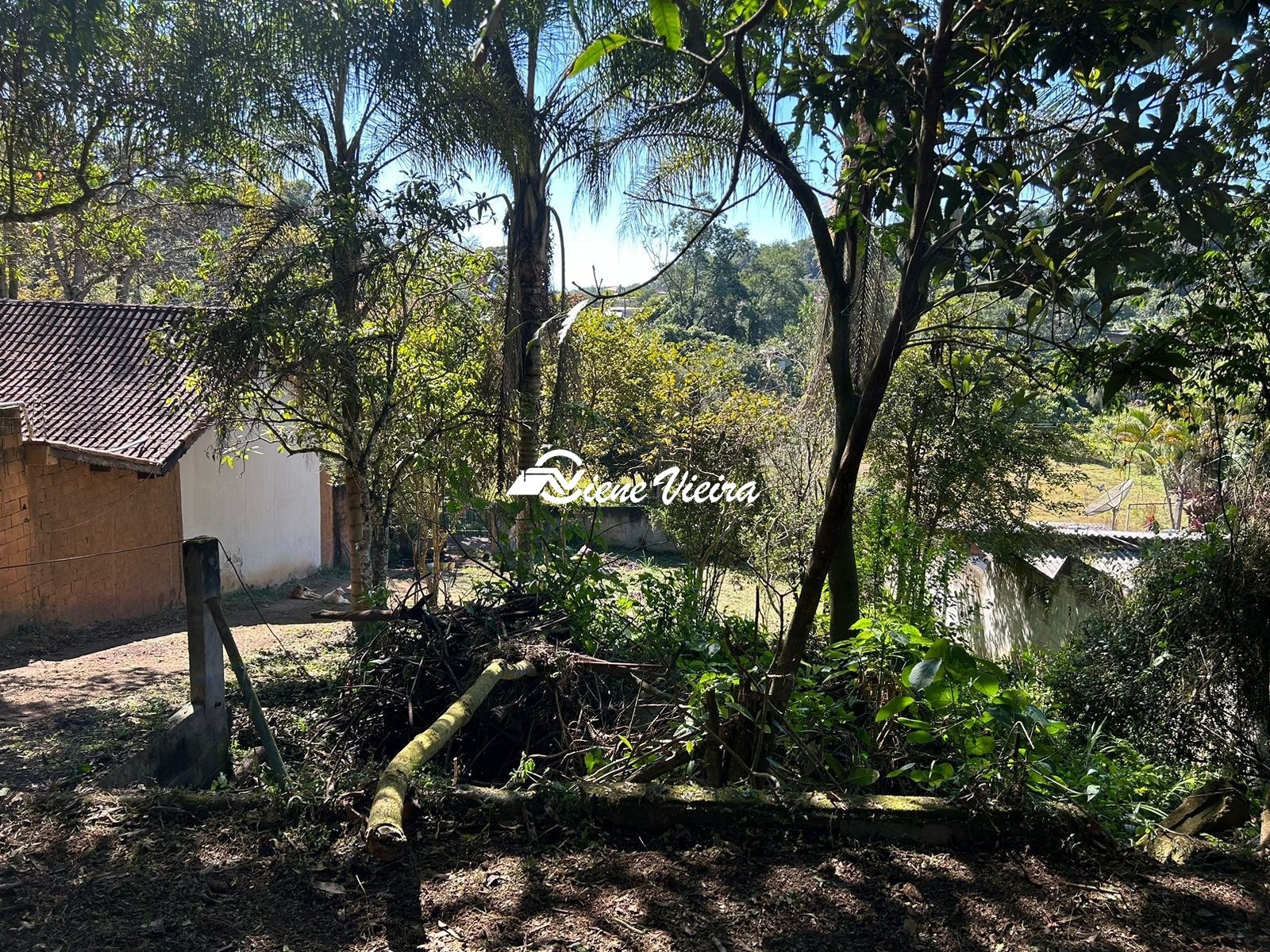 Chácara, 2 quartos, 1558 m² - Foto 3