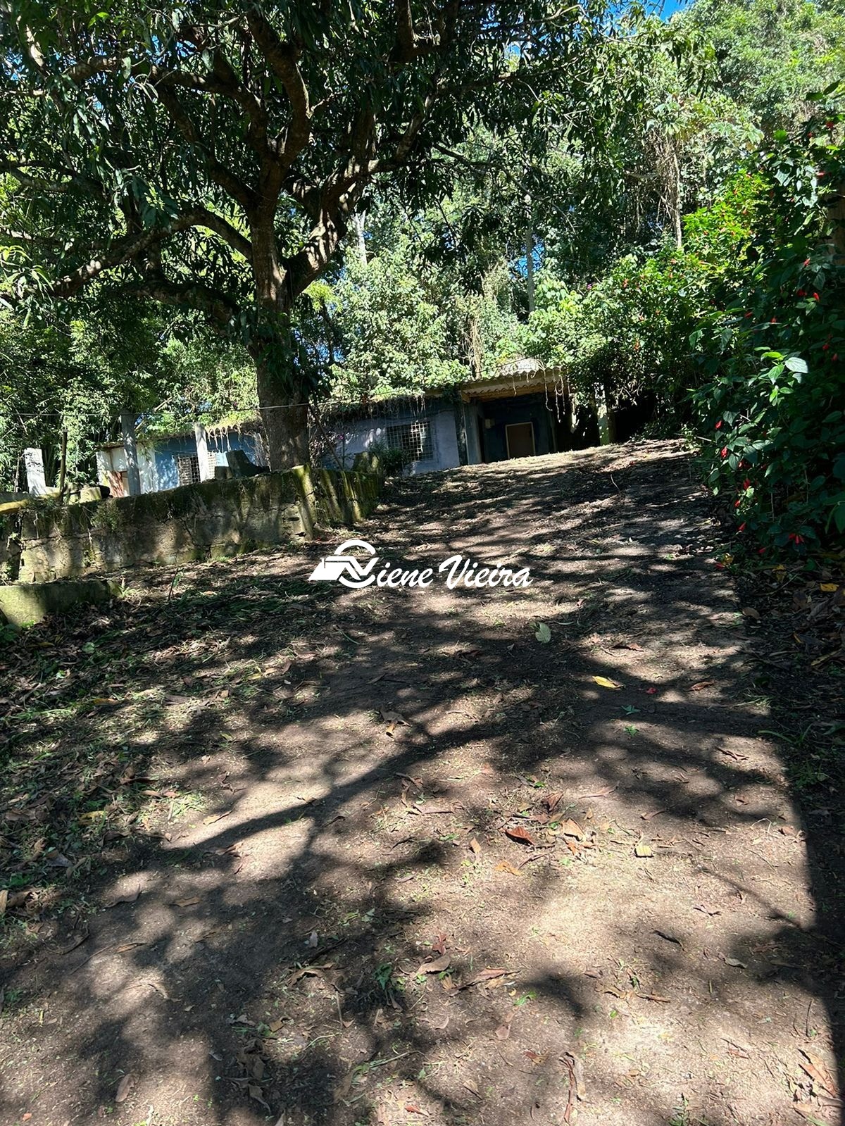 Chácara, 2 quartos, 1558 m² - Foto 20