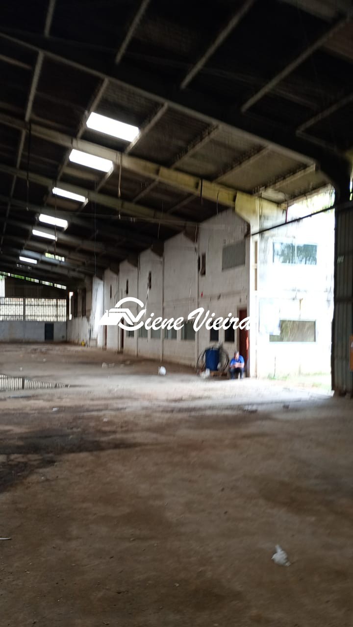 Depósito-Galpão, 5000 m² - Foto 2
