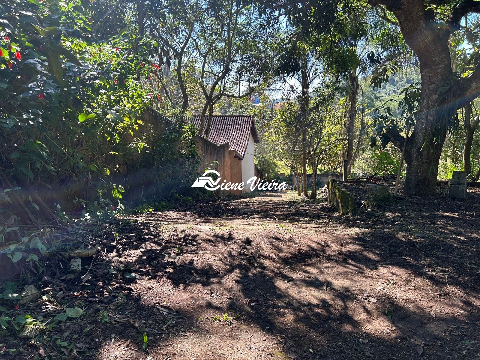 Chácara, 2 quartos, 1558 m² - Foto 6