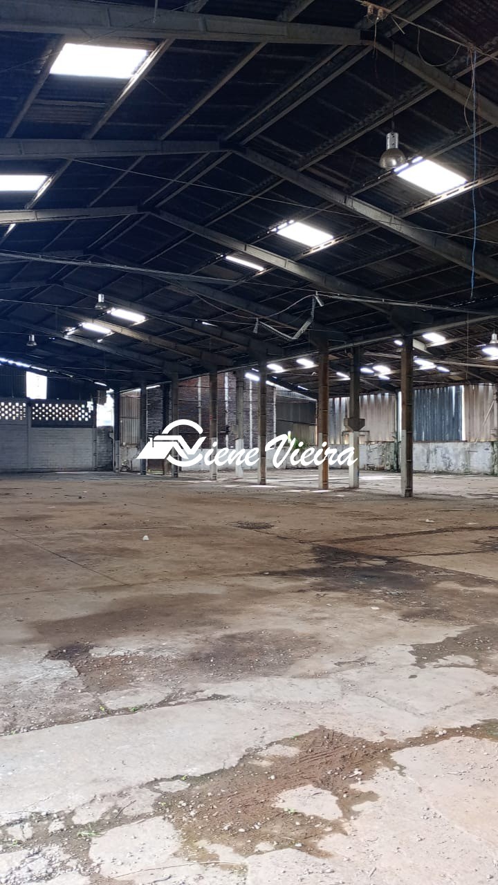 Depósito-Galpão, 5000 m² - Foto 3