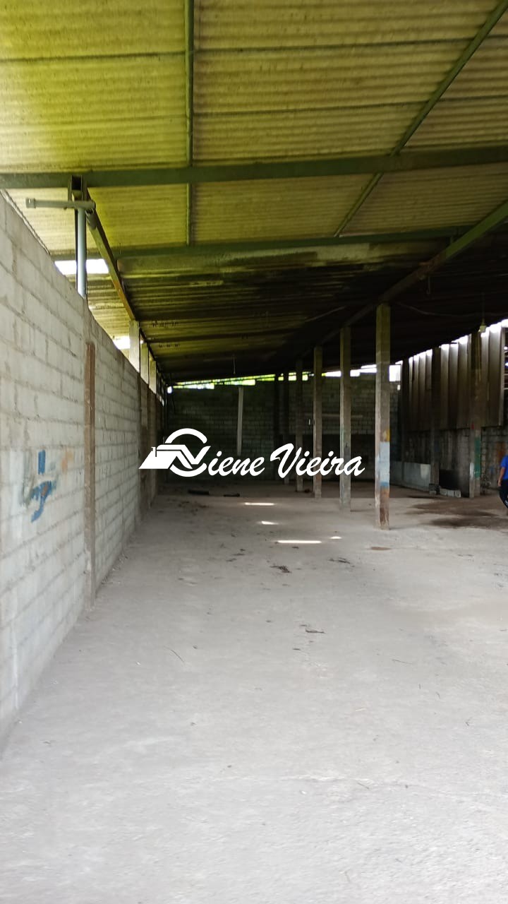 Depósito-Galpão, 5000 m² - Foto 4