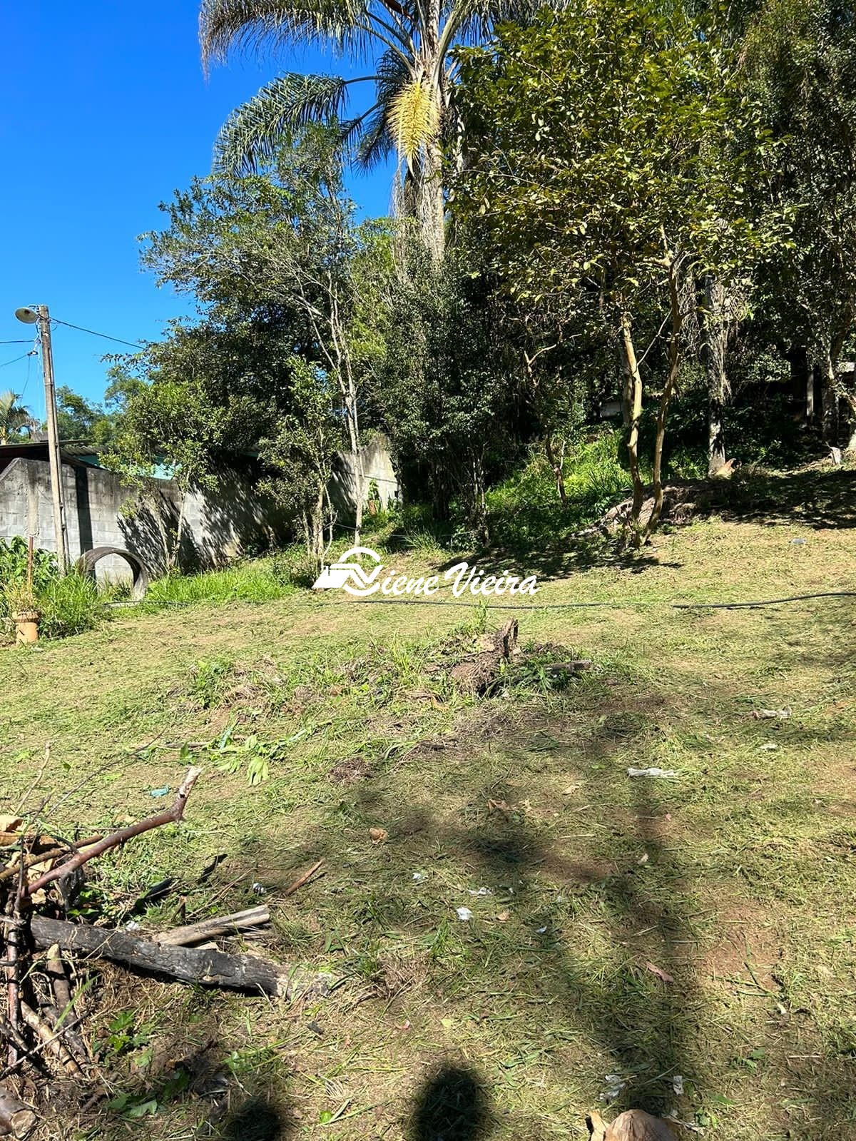 Chácara, 2 quartos, 1558 m² - Foto 13