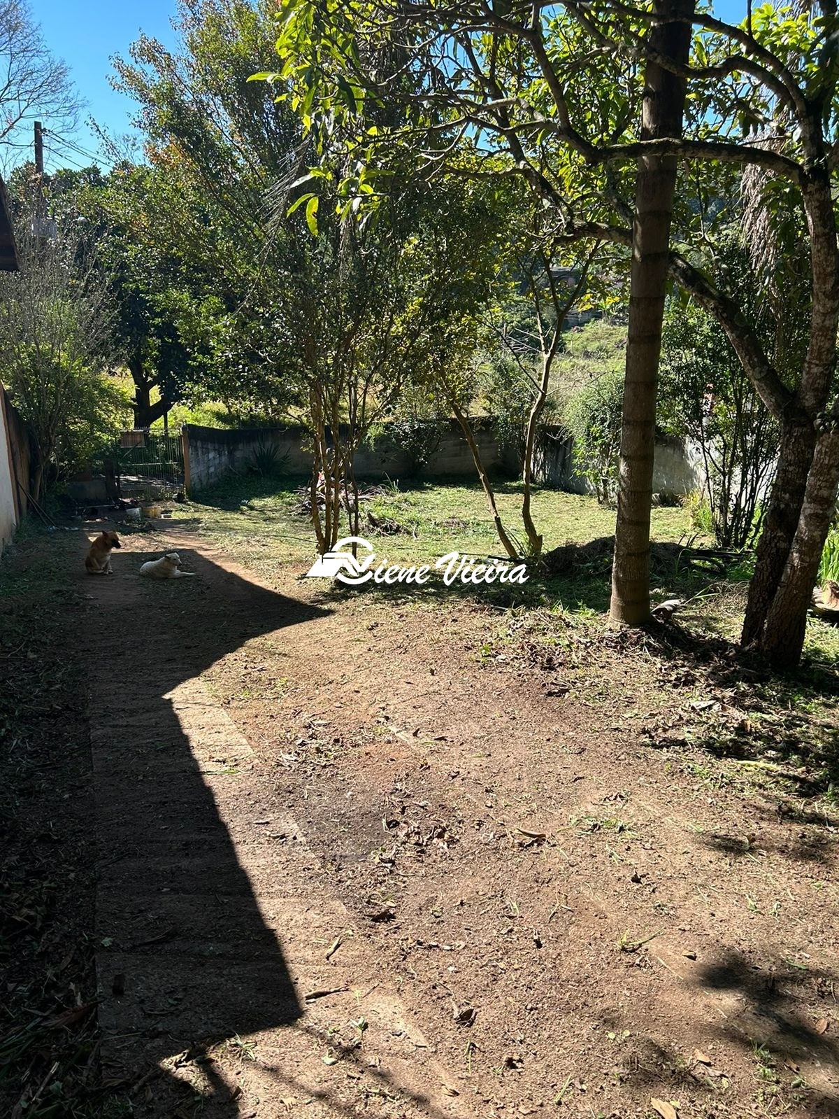 Chácara, 2 quartos, 1558 m² - Foto 10