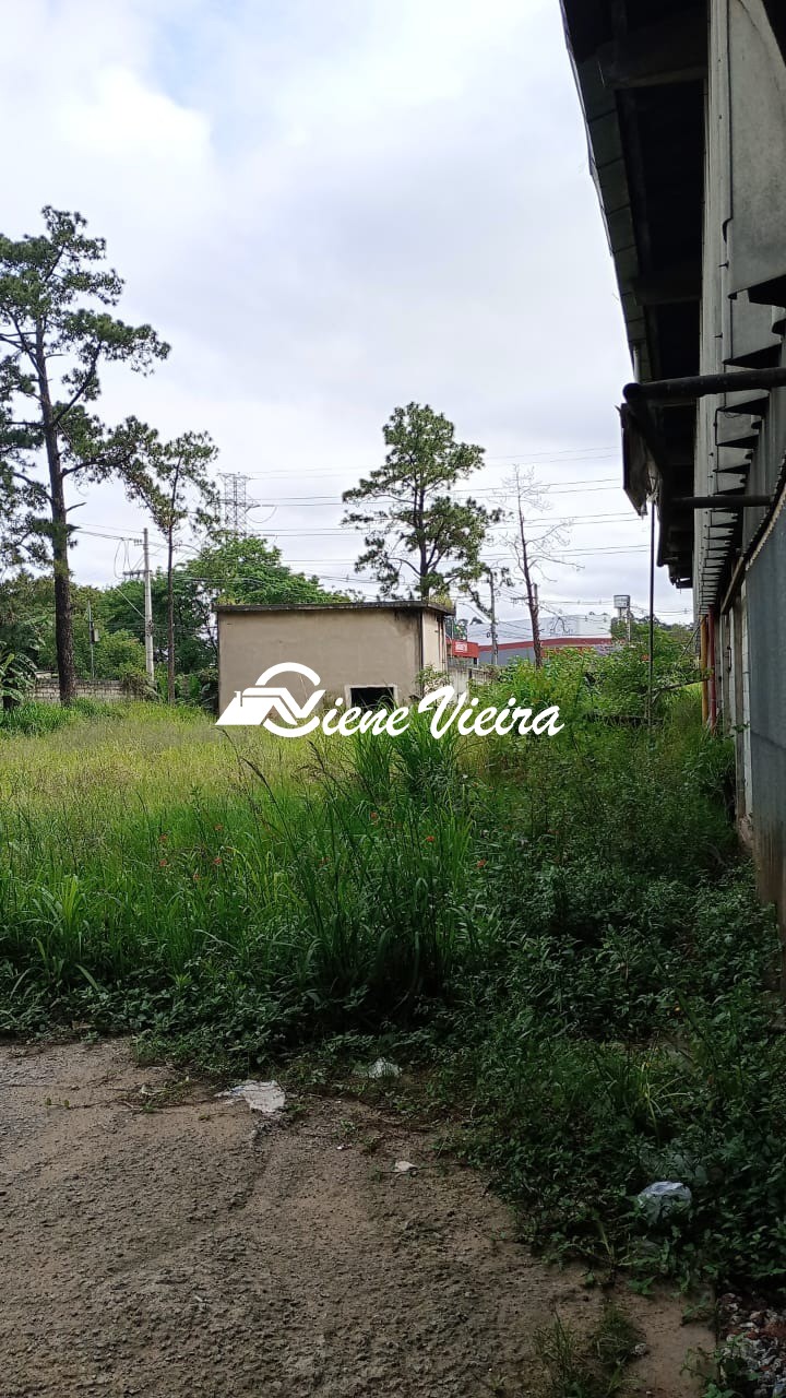 Depósito-Galpão, 5000 m² - Foto 7