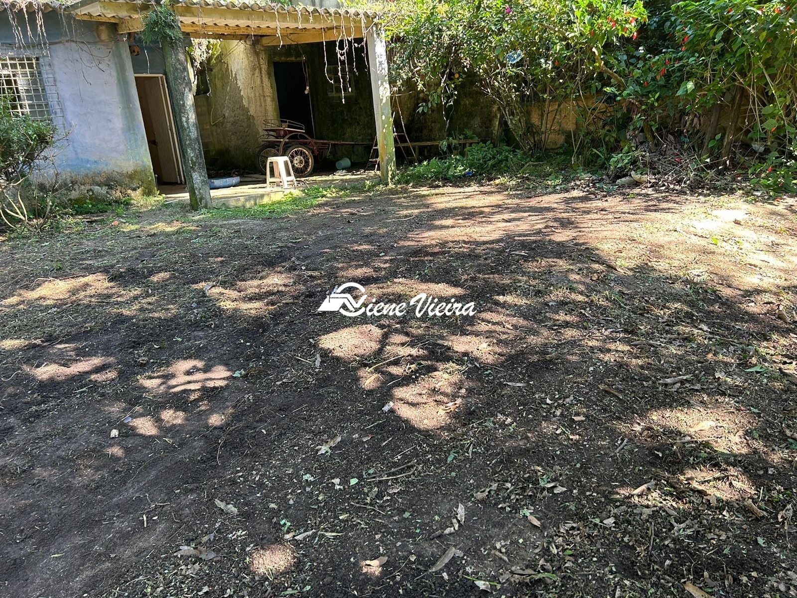 Chácara, 2 quartos, 1558 m² - Foto 4