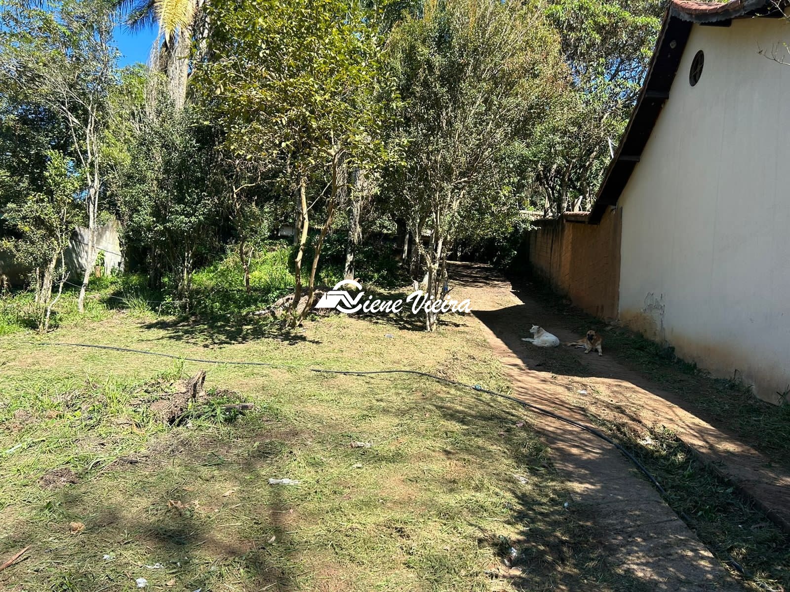 Chácara, 2 quartos, 1558 m² - Foto 9