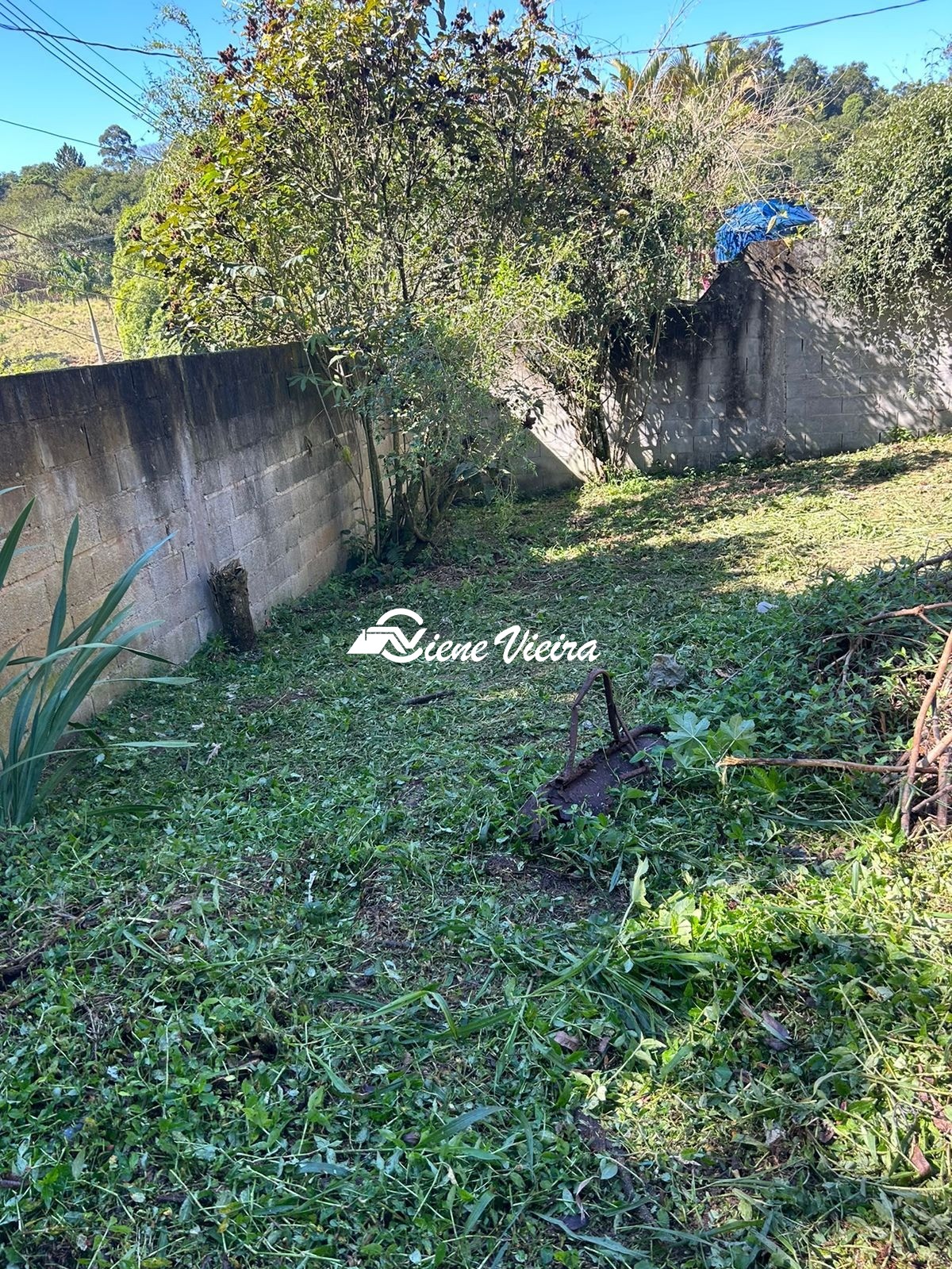 Chácara, 2 quartos, 1558 m² - Foto 15