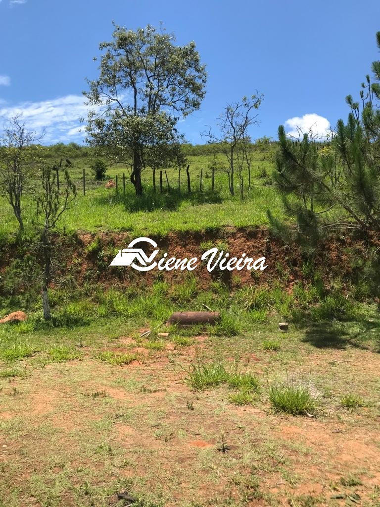 Chácara, 2 quartos, 4 hectares - Foto 16