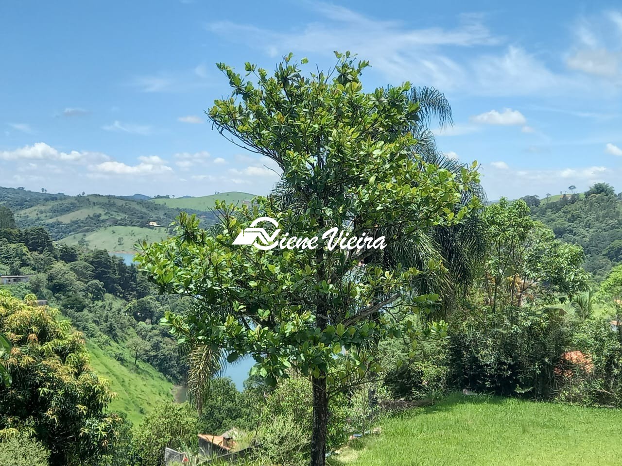 Chácara, 1 quarto, 2380 m² - Foto 6