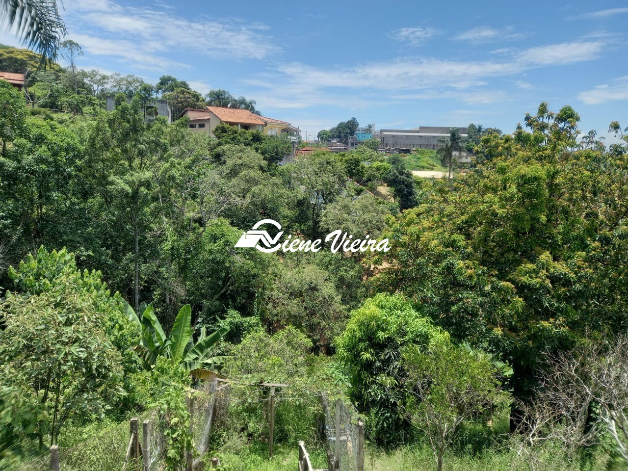 Chácara, 1 quarto, 2380 m² - Foto 19
