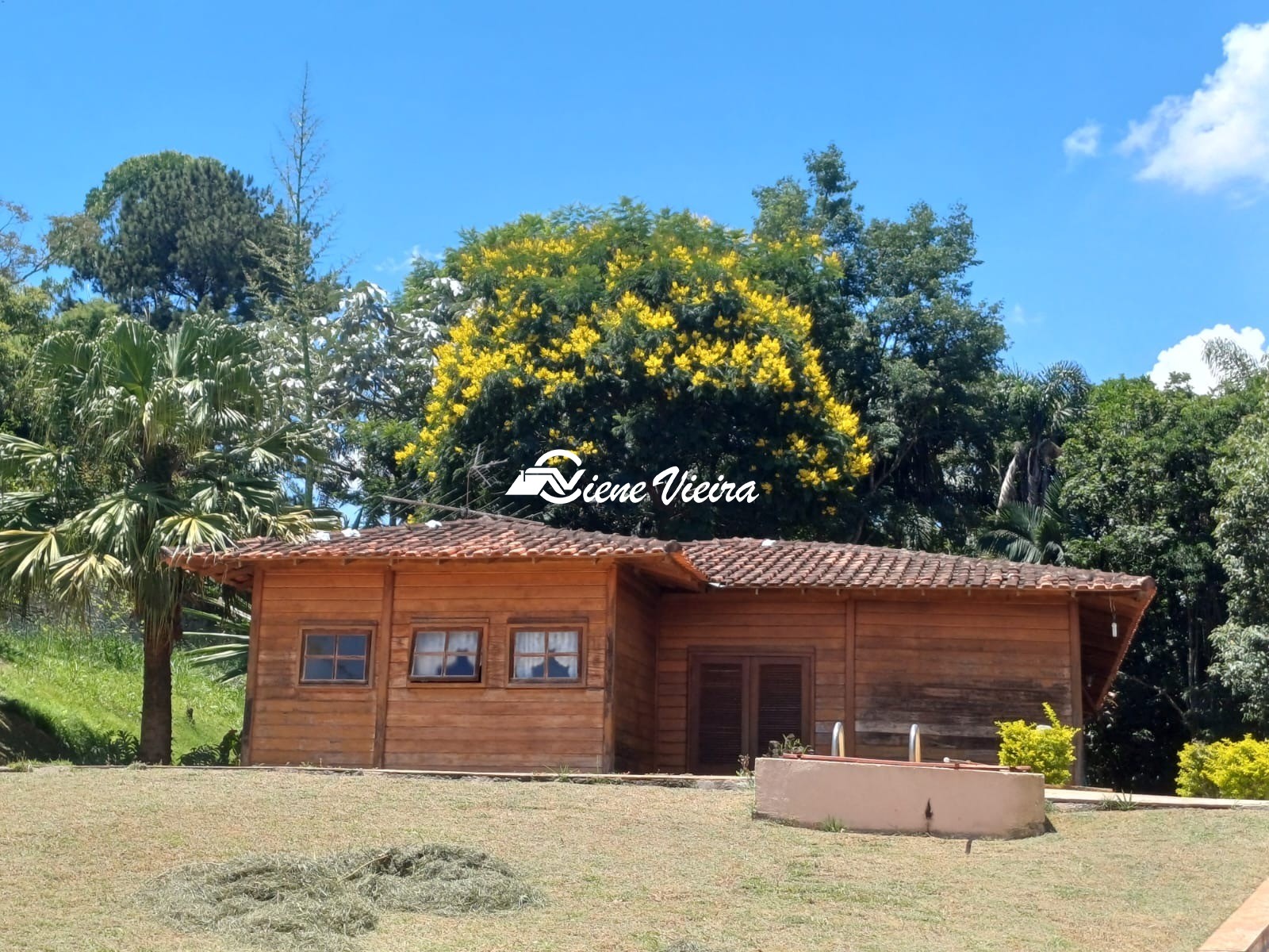 Chácara, 2 quartos, 8000 m² - Foto 3