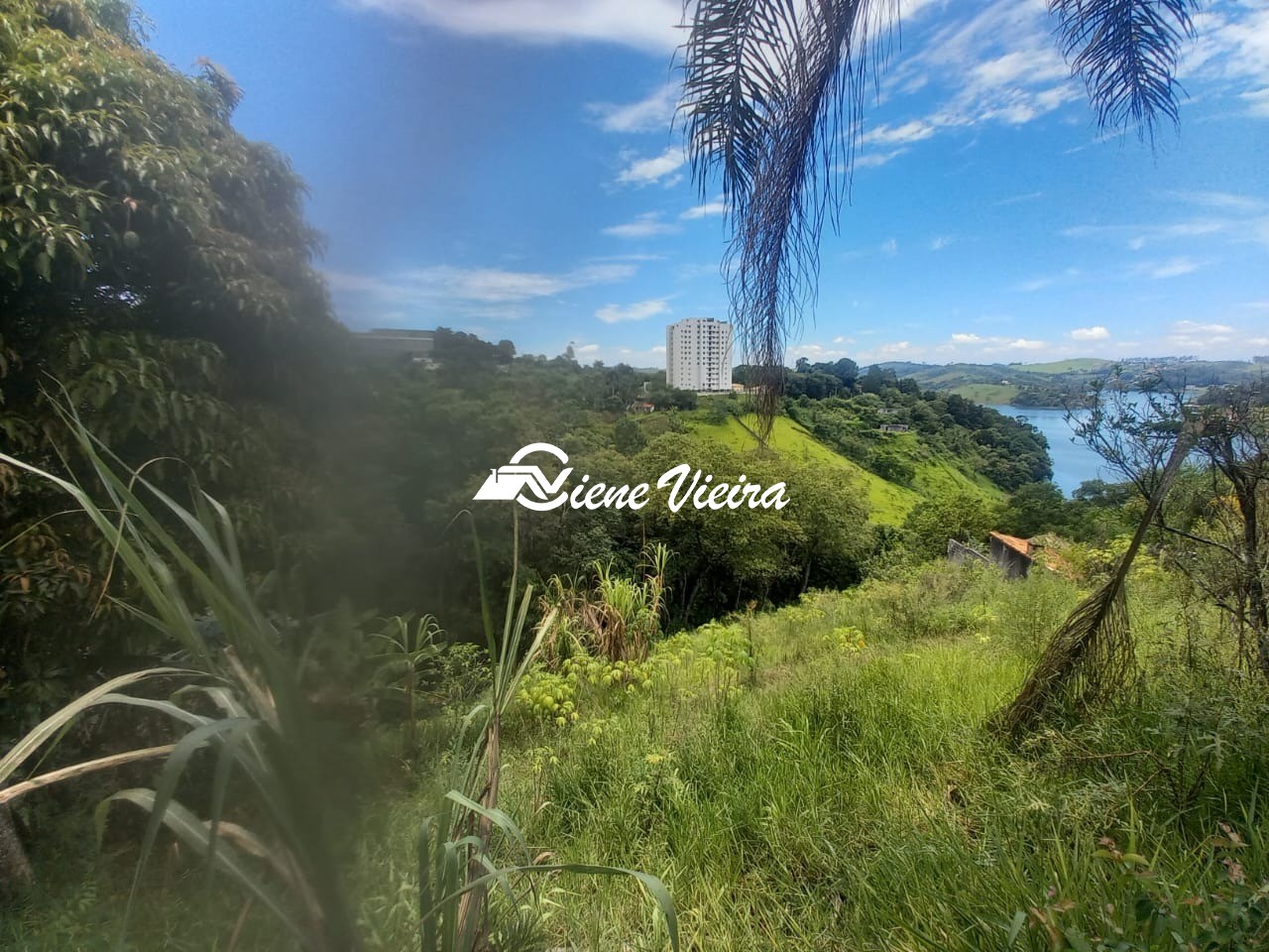 Chácara, 1 quarto, 2380 m² - Foto 5