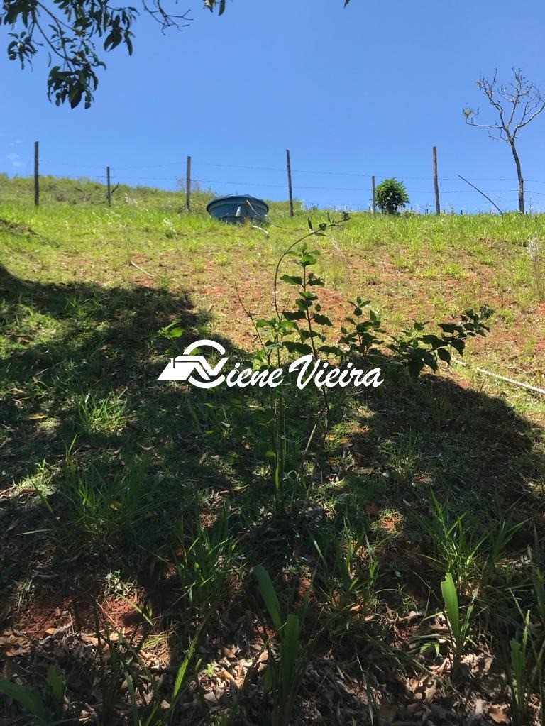 Chácara, 2 quartos, 4 hectares - Foto 22