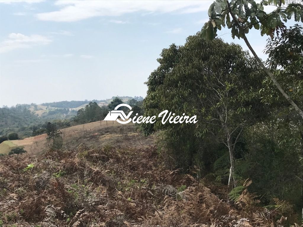 Chácara, 2 quartos, 4 hectares - Foto 18