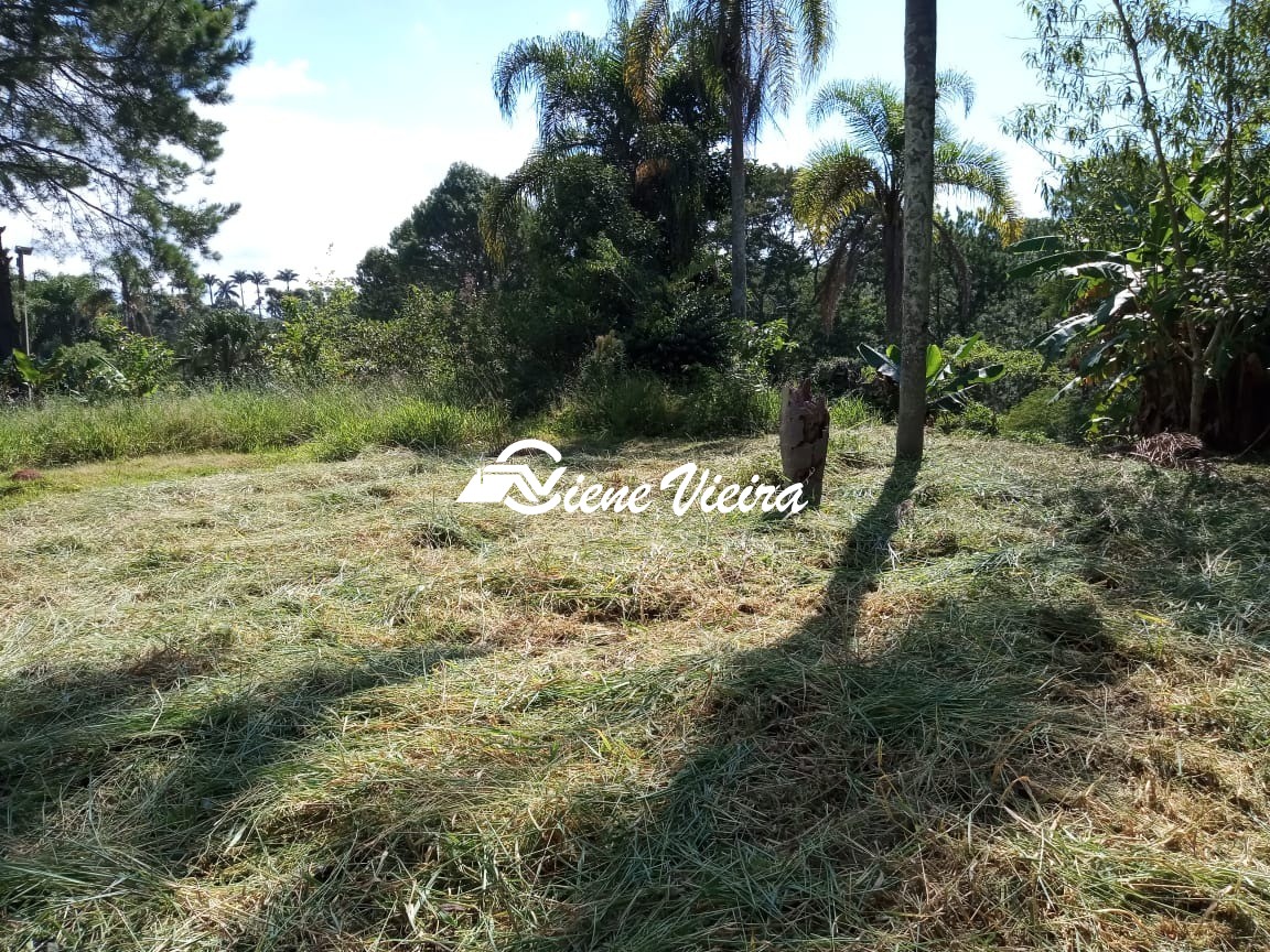 Terreno, 1625 m² - Foto 3
