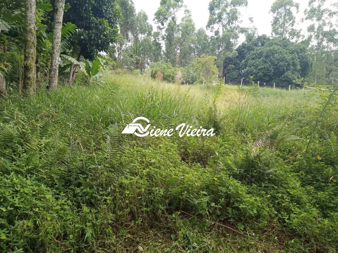 Terreno, 1625 m² - Foto 5