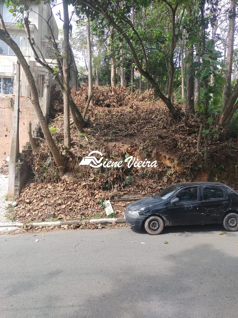 Terreno, 300 m² - Foto 3