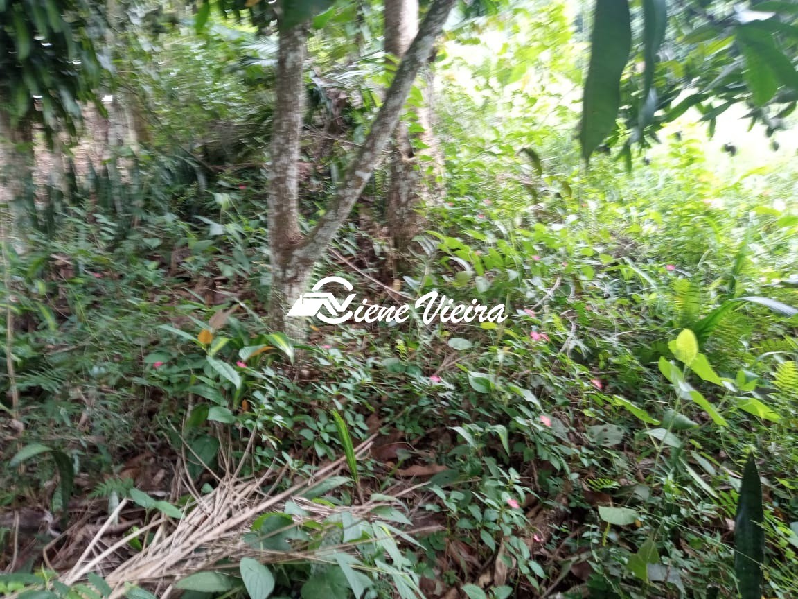 Terreno, 1625 m² - Foto 4