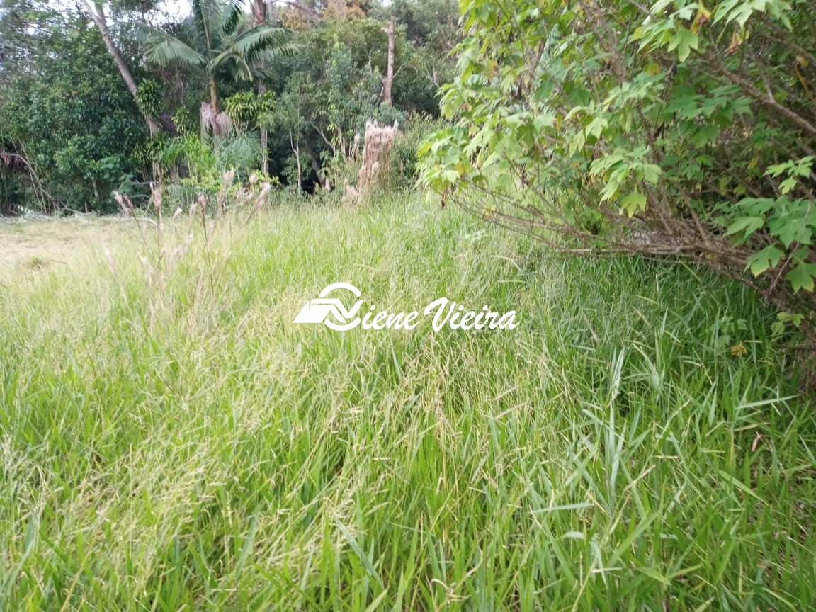 Terreno, 1625 m² - Foto 7