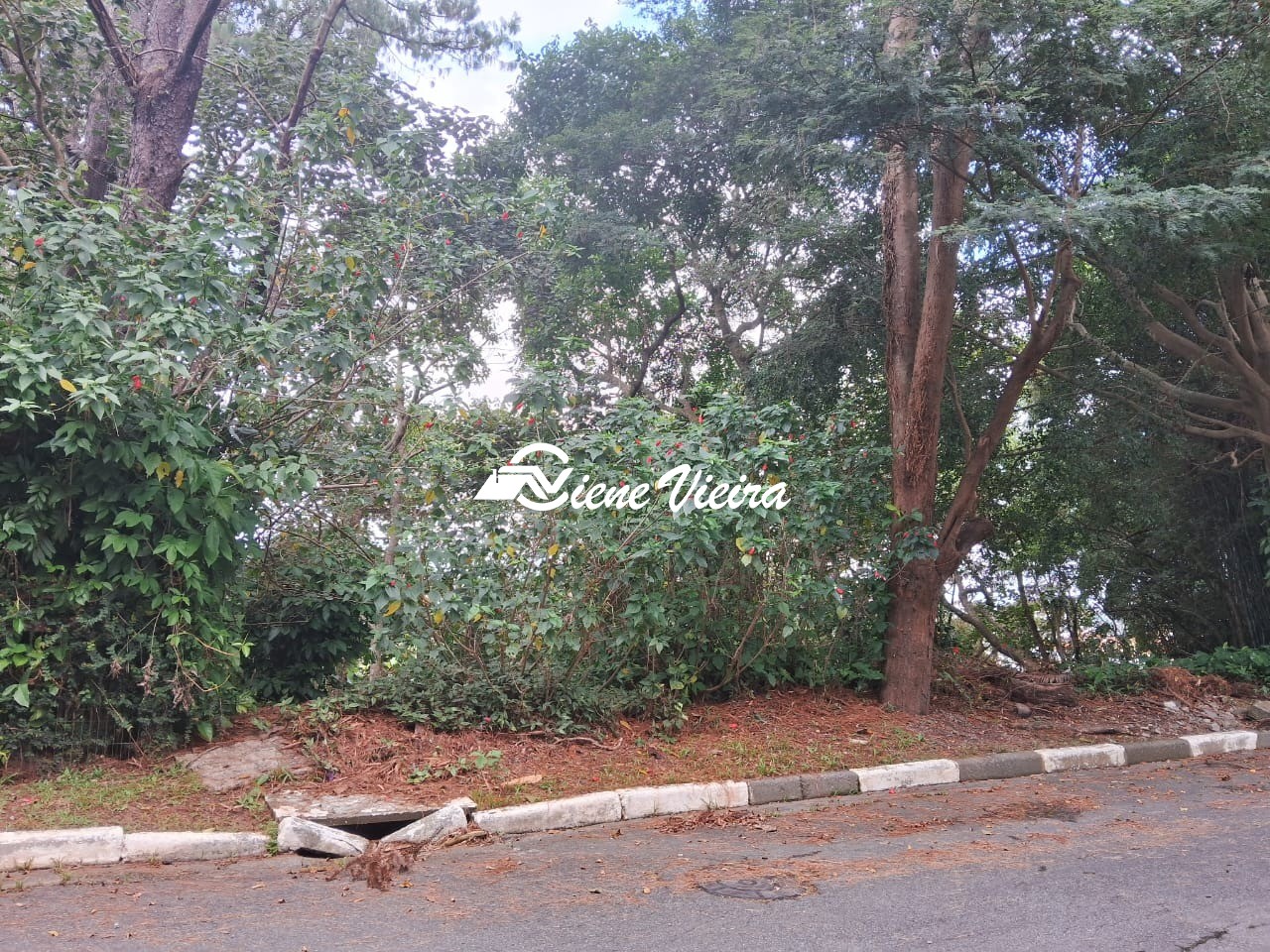 Terreno, 1200 m² - Foto 5
