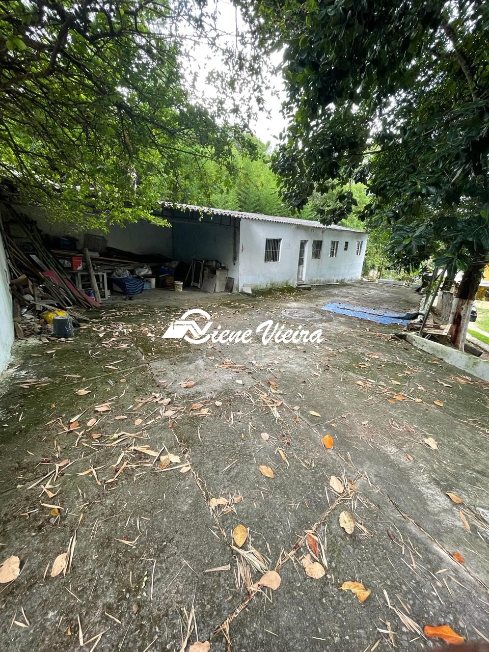 Chácara, 4 quartos, 2500 m² - Foto 4
