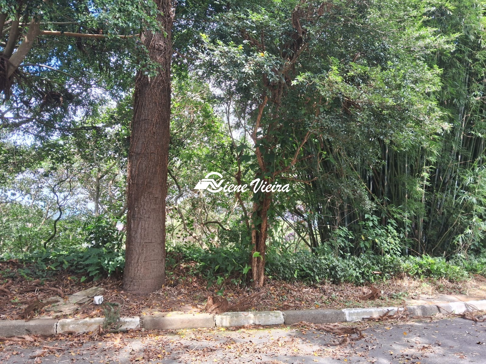 Terreno, 1200 m² - Foto 9