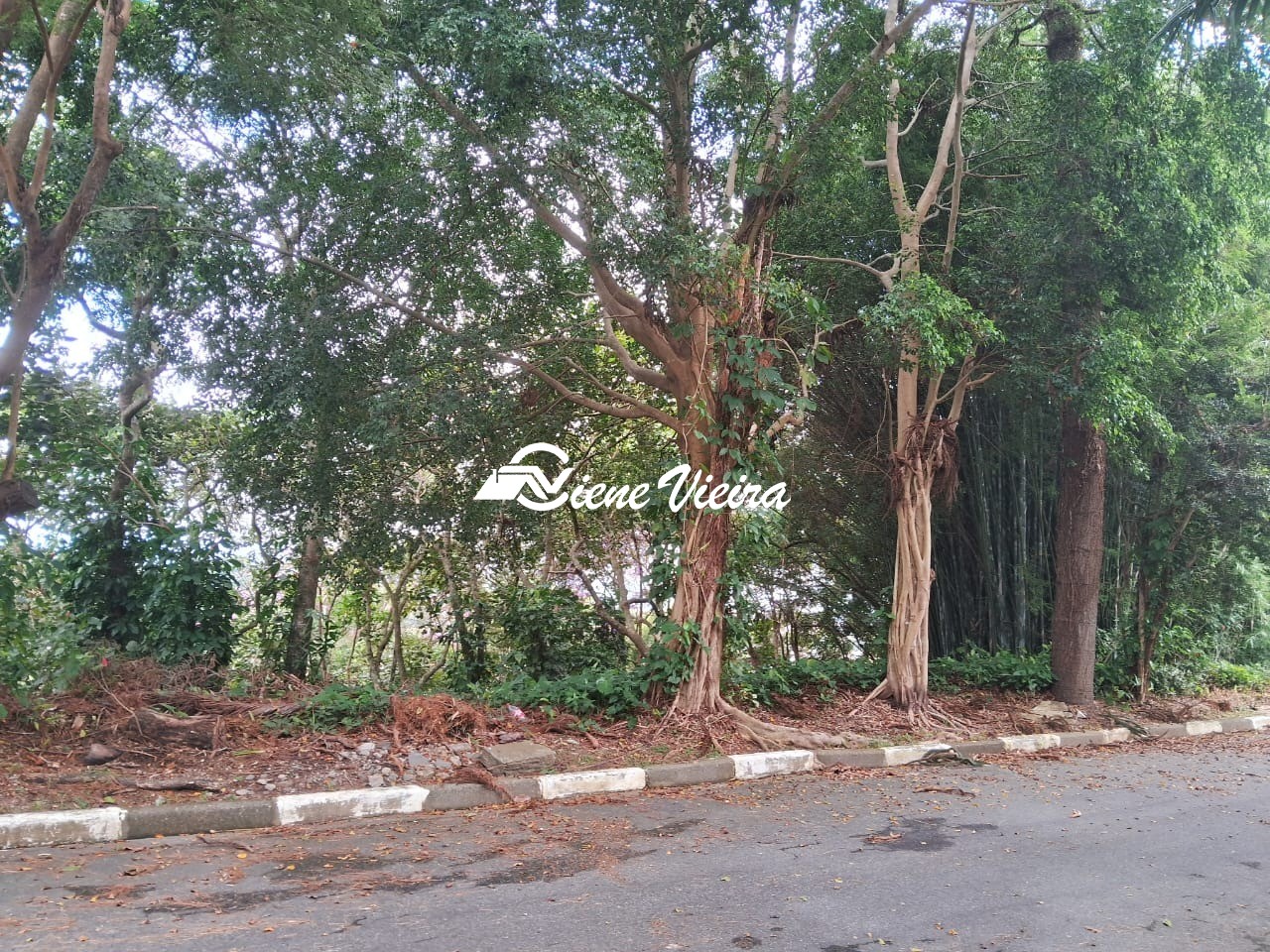 Terreno, 1200 m² - Foto 4