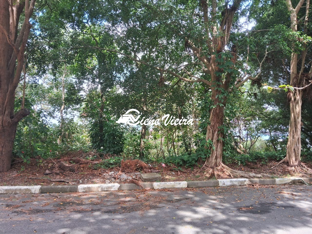 Terreno, 1200 m² - Foto 6