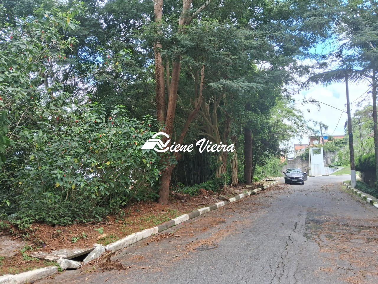 Terreno, 1200 m² - Foto 2